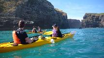 Sea-kayaking Safari - Pohatu Penguins
